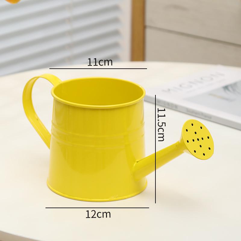 Retro Eisen Sukkulenten Gießkanne: Ausgehöhltes, Distressed-Design für Haushalt & Blumengebrauch