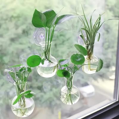 2/4/8 Mini Wall Mounted Plant Propagation Bottles Hanging Vases, Round Vases for Home Decoration, Hydroponic Plant Stem Bottles