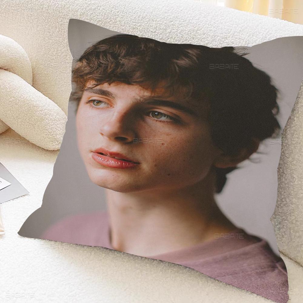 T-timothee C-chalamet Cushion Cover Pillowcase Upholstery Sofa Throw Pillow Home Decor Pillowcas