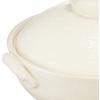 Saji Pottery White 25cm Banko Ware Earthenware Pot No. 8 White Brushed Finish 27-911