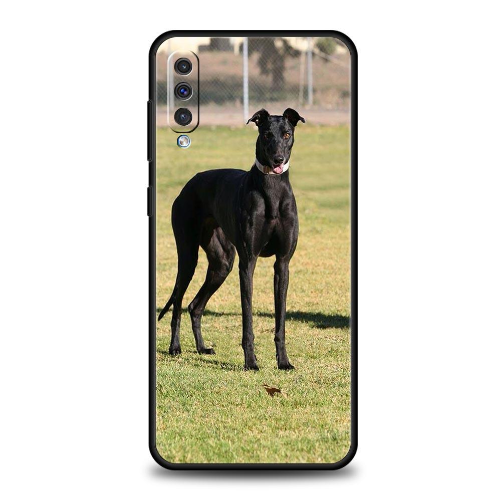 Galgo Greyhound Dog Phone Case For Samsung Galaxy A56 A36 A26 A34 A17 A16 A06 A14 A12 A54 A72 A70 A22 A20e A52 A50 A40 A32 Cover