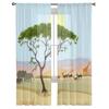 African Mountain Idealistic Landscape Tulle Sheer Curtains for Living Room Bedroom Kitchen Decoration Voile Organza Curtains