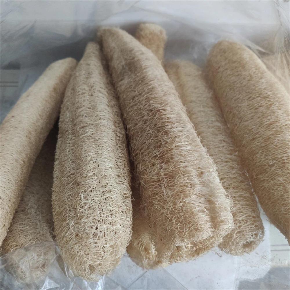 HOMZY 1pcs Natural Loofah Sponge Multi-purpose Cleaning Tool for Kitchen Bathroom Scrubber for Daily Cleansing Wash Body Scrubber Spa
