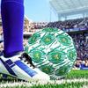 Sporting Cp Crest Emblem Size 5 Soccer Ball, Suitable for Training and Matches, High-Elasticity, Wear-Resistant Material Gift for Fan