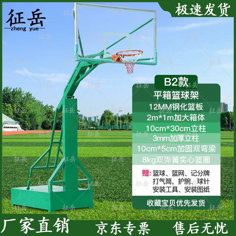 Zhengyue Movable Basketball Hoop
