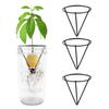 3Pcs Cone-shaped Avocado Germination Stand Stable Sprouting Plant Bracket  Home Indoor Desk