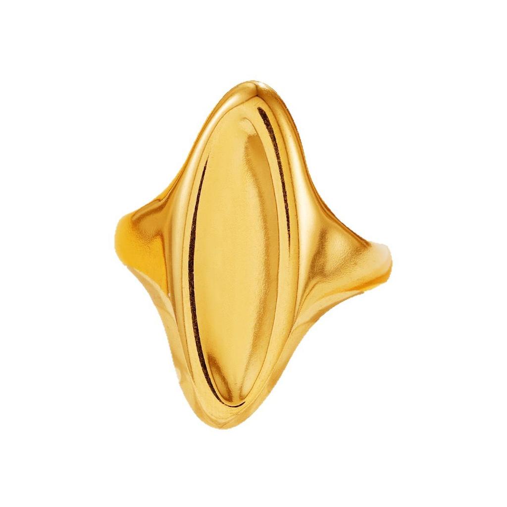 Fashion Chic Geometric Oval Stainless Steel Ring: Versatile Women's Heavy Metal Open Design