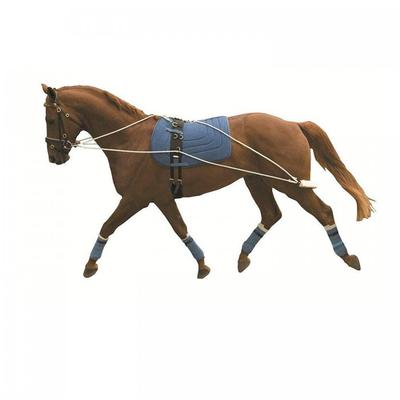 Sports et Loisirs – Équitation