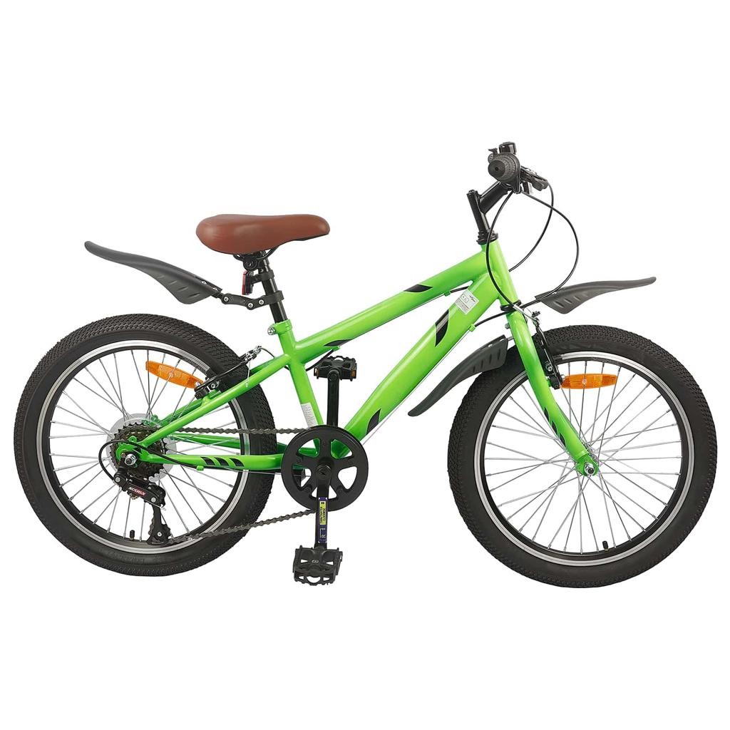 Kids Bike 20 Inch 6 Speed for Ages 6 11 Green