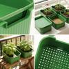 1/2/3x Seed Sprouter Tray with Cover Sprout Dish Growing Pot Seed Germination Tray Soilless Cultivation Germination Nursery Tray