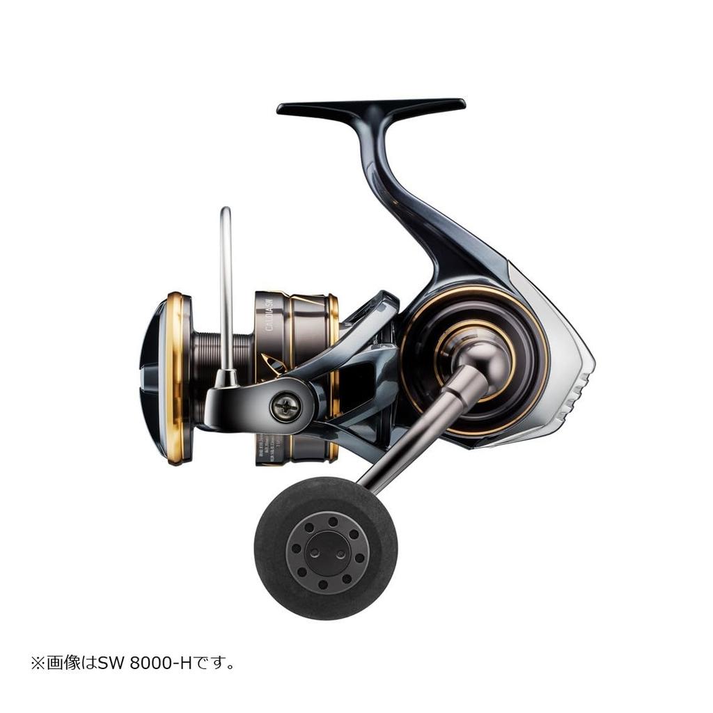 Daiwa Stationärrolle 22CALDIA SW 8000-P