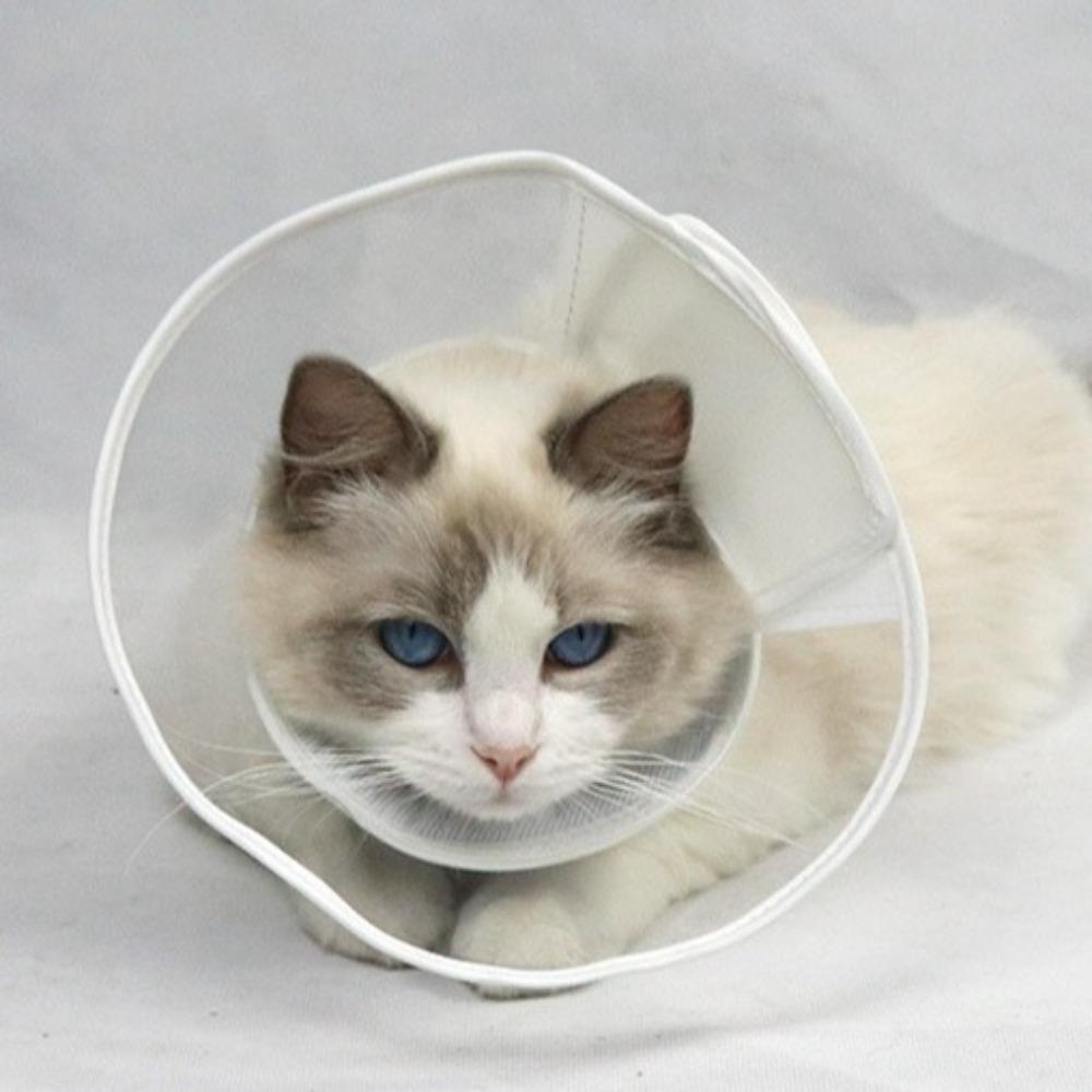 Soft Pet Protective Collar Clear Cat Elizabethan Ring Reusable Cat Recovery Cone Collar  for Neck