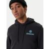 Element Epic Po Hoodie