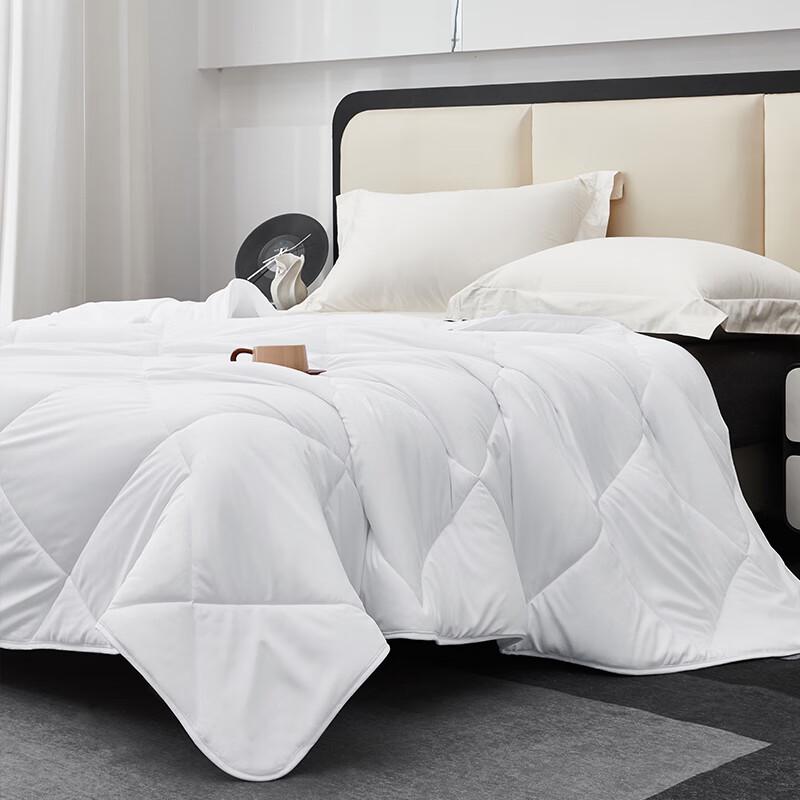 Mengjie Super Soft Mulberry Silk All-Season Quilt