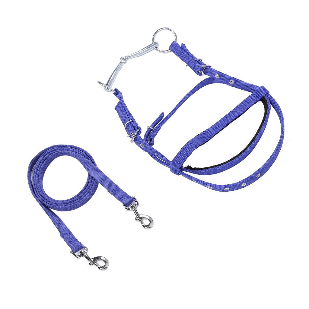 Horse Bridle Rein Nylon Stylish Adjustable Horse Bridle Headstall Equestrian Rein Blue L( For Horses with Shoulder