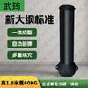Wujun Standing Boxing Punching Bag