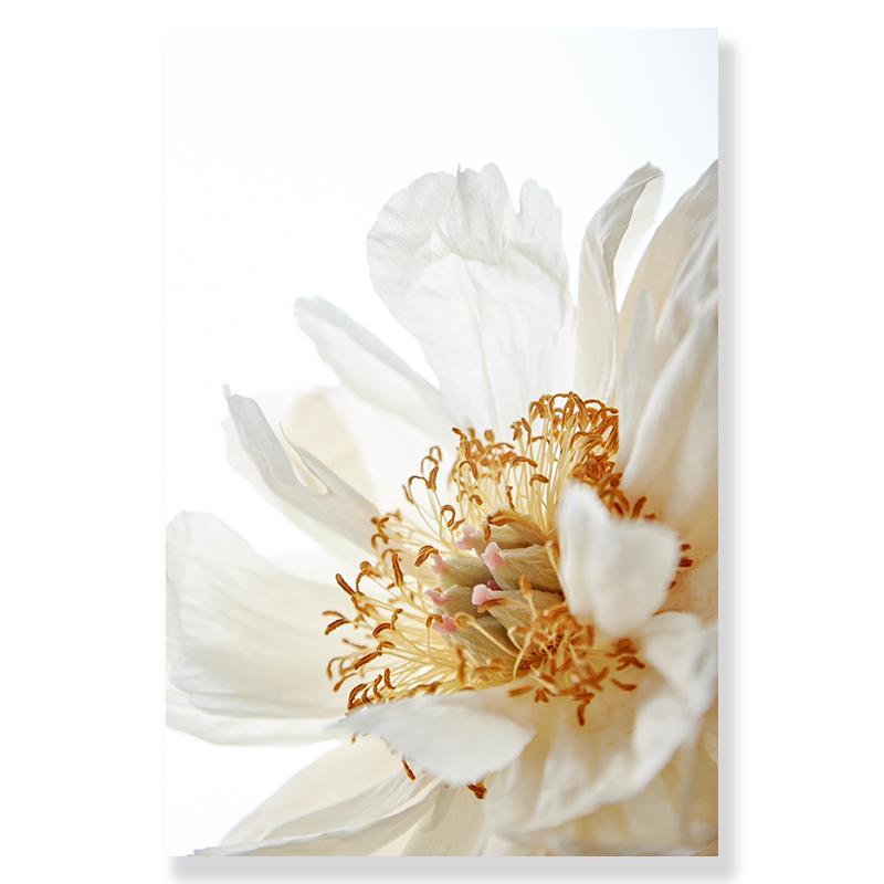 Landscape Flower Picture Canvas Painting Wall Art Autumn Scenery Mountain Lake Grass Poster and Print for Modern Home Wall Decor