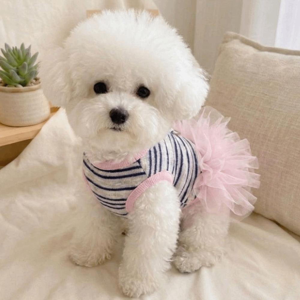 Lace Skirt Puppy Princess Dress Sweet Style Pet T-shirt Fashion Pet Lace Skirt Wedding Party