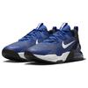 New Nike Air Max Alpha Trainer 5 'Old Royal' DM0829-400