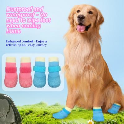 Giyim ve ayakkabı – Köpek ayakkabıları