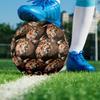 3D Lion Indoor Soccer Ball Size 5 Colorful All Ages Machine Stitched PVC Competition Ready Durable High-Bounce