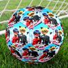 Miraculous Theme Size 5 Soccer Ball, Suitable for Both Indoor and Outdoor Matches, a Gift Suitable for Everyone.