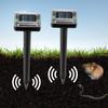 LED Solar Snake and Mouse Repeller