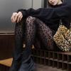 Women's Sexy Leopard Print Leggings with Fleece 2026 Winter Stockings for Warmth, Black Women's Pantyhose