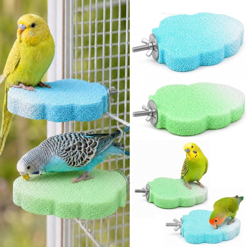 Non-Slip Surface Claw Trimming Perch Multi-Function Pumice Stone Perch  Pet Supplies