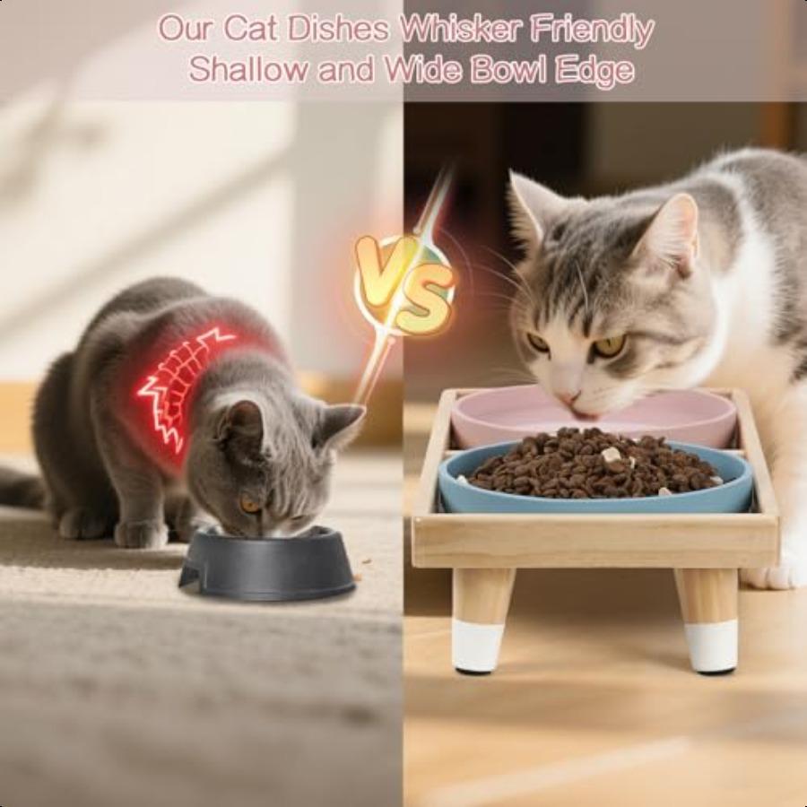 Cat Food Bowls7 Wide Puppy Plates Whisker Fatigue Pet Feeding Dishes Pet Feeding Station for Cats Small Dogs Anti Whisker Fatig