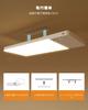 12000mAh Ceiling Light with Motion LED Sensor Color Temperature Stepless Integrated Emergency Japanese Instruction Manual Included Sensor, Light,