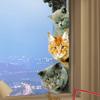 Cute Realistic Animal Peeking Window Stickers Creative Glass Decor Festival Decoration Home Shop Window Clings Adorable Animal Wall Stickers