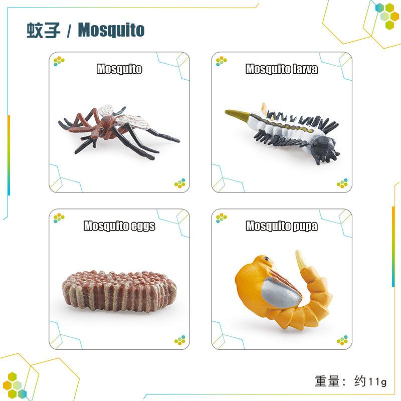 Children'S Science And Education Cognition 16 Animal, Plant And Insect Life Cycle Cards Early Childhood Education Card Toys