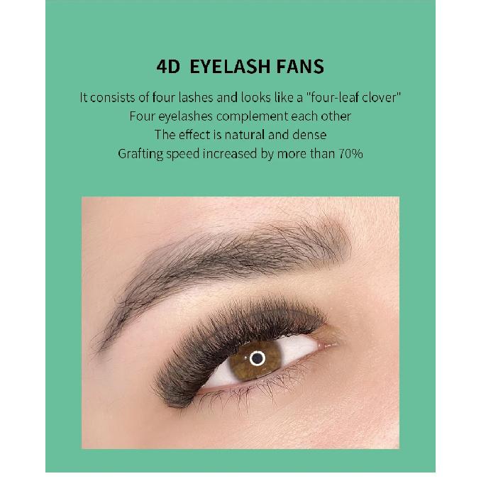 GLAMLASH 4D5D W Shaped Eyelash Extension Premade Volume Fans W Style Lashes Faux Mink Soft Easy Faning Natural Lashes