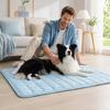 Pet 1 Pack for Dogs and Cats Summer Heat Sleeping Pad