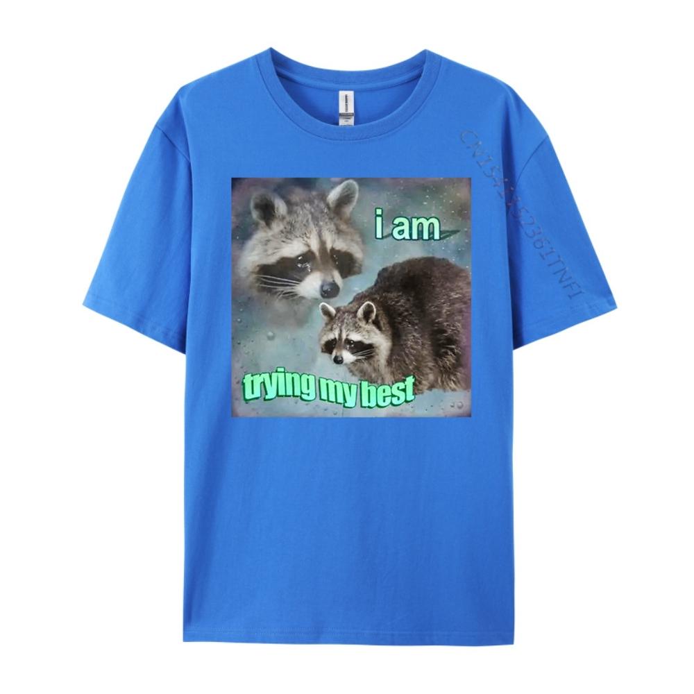 Raccoon I Am Trying My Best Sad Unisexs Korean Fashion Unisex Oversized T Shirt