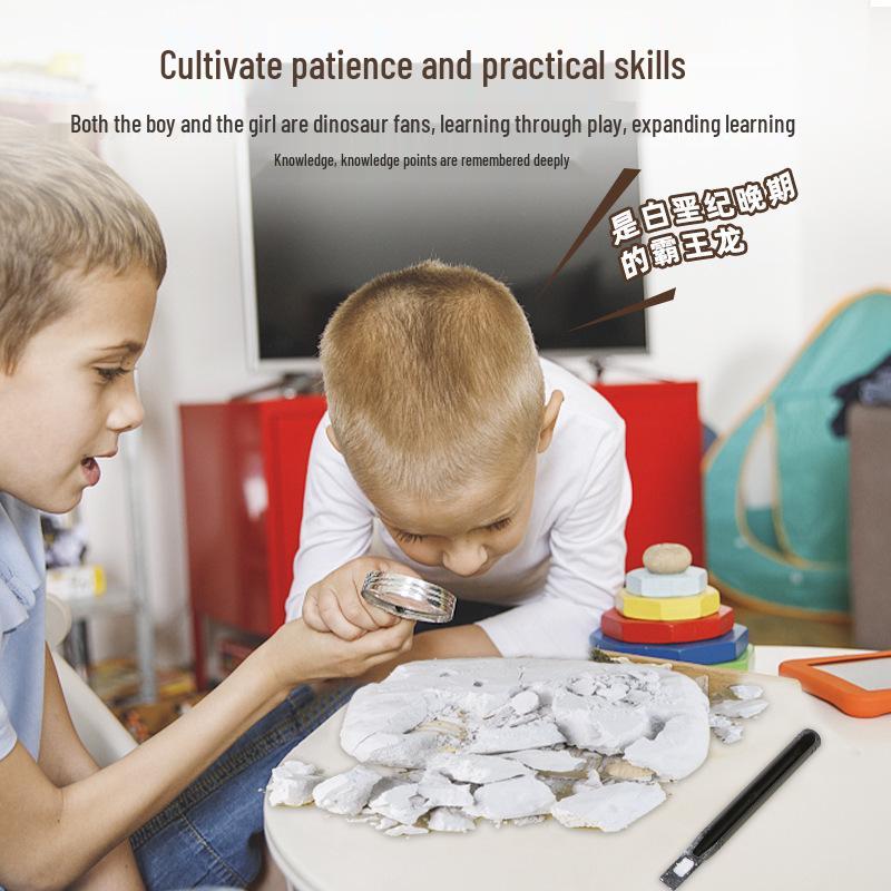 Dinosaur Fossil DIY Excavation Toy - Educational Handmade Archaeology Kit for Kids
