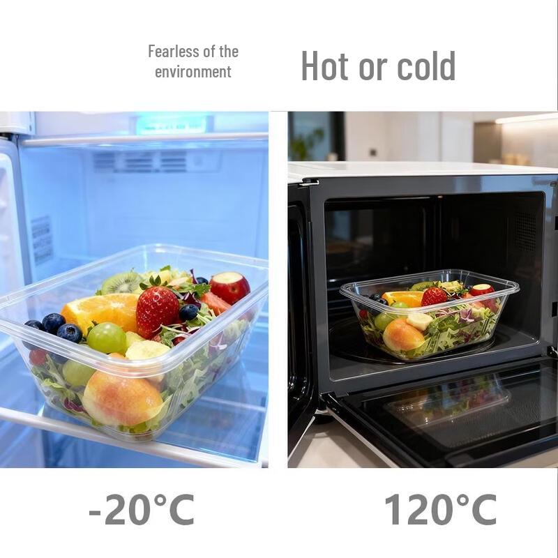 ChuZhou Thickened Disposable Rectangular Meal Box with Lid