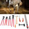 9 PEÇAS Aço Ferro Cabo Ergonômico Alicate Cortador de Cascos Ferradura Lima Martelo de Unha Ferramenta para Cascos Cavalo