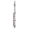 Piccolo Instrument White Copper Nickel Plated C Key Piccolo Flute for Beginners Students with Hard Case Cleaning Rod Cloth and Gloves