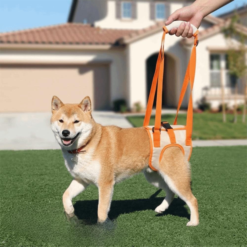 Breathable Mesh Dog Lift Harness Lightweight Build Dog Support Strap Injury Assistance S
