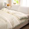 Good Sleep Cloud Cotton Double Winter Quilt