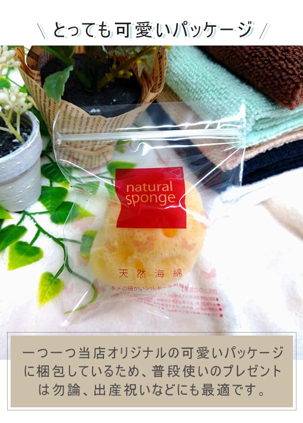 Sanitary Commercial Natural Individually Face Delicate Zone [12 Pieces] Sponge, Product, Sponge, Use, Sponge, Wrapped, Ziplock, Sanitary, Absorbent,