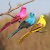 Artificial Bird Three-dimensional Eyes Long Tail Realistic Colorful Fake Animal Bird Garden Prop Decoration for Home