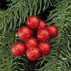 30 Pcs Hot New Fruit Hanging Christmas Tree Decor Ornament Ball Xmas Baubles