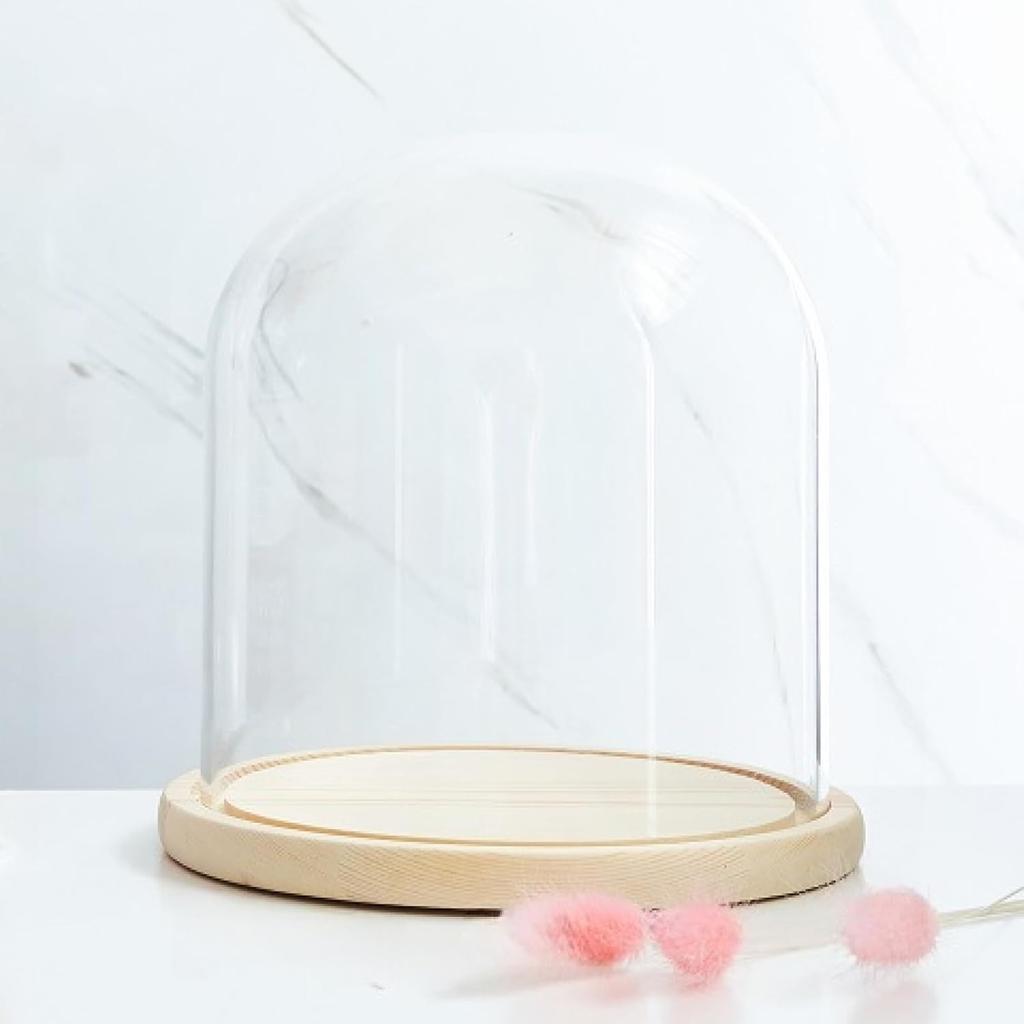 Glass Dome Diameter 7", Decorative Glass Cloche Bell Jar Display Dome, Dust Proof Glass Display Dome with Solid Wood Base Office Home Desktop