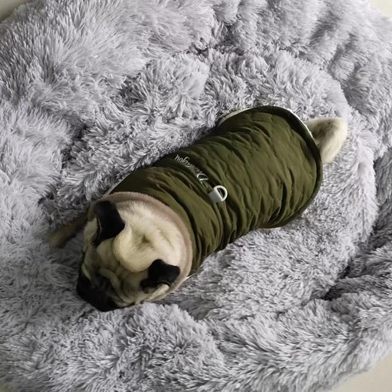 CDDMPET Wasserdichte Hundejacke mit Fellkragen Winter Warmes Fleece Hundekleidung für Kleine Hunde Welpe Haustier Weste Chihuahua Yorkie Mops Mantel