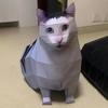 Rotating Cat 3D Folding Paper Cat Home Decoration Kitten Paper Model Cat Paper Model  For Children