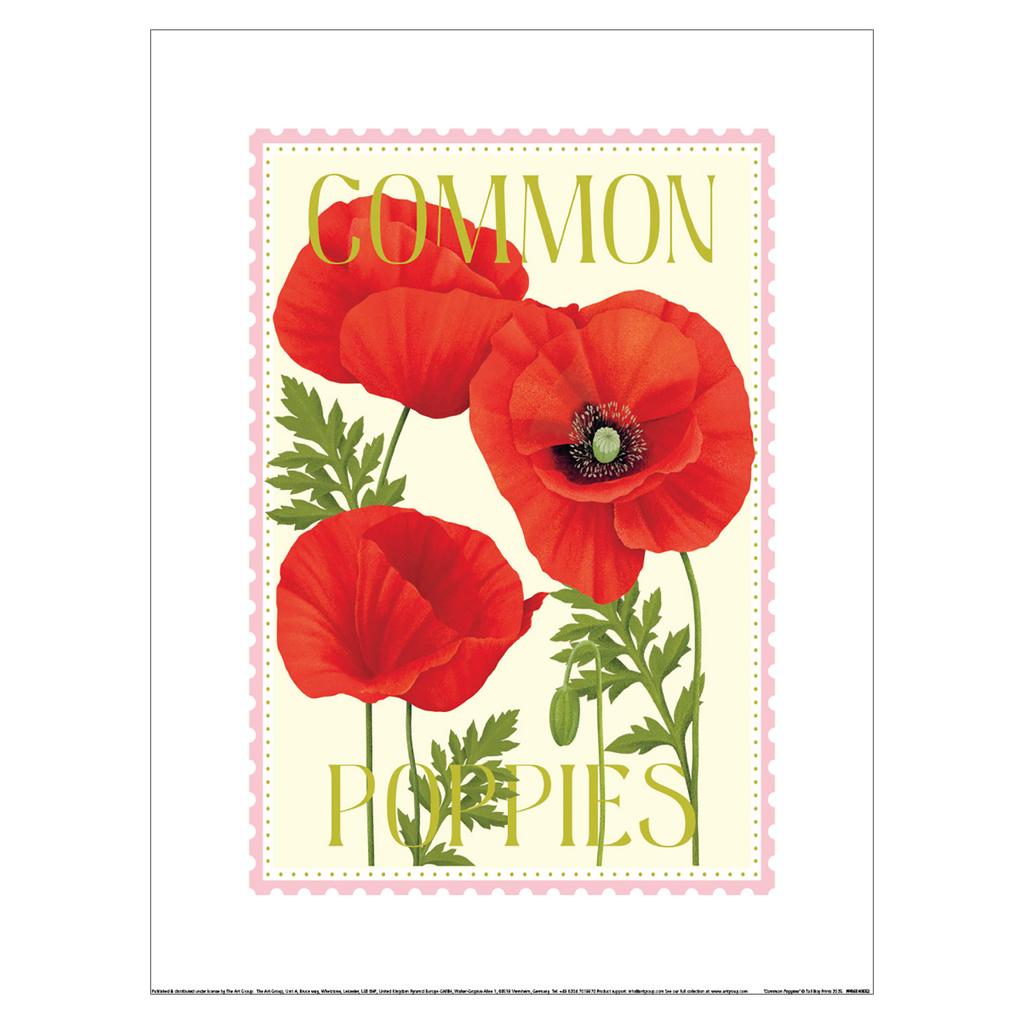 Tall Boy Prints Common Poppies Print