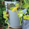 2Psc Flower Pot Edge Hanging Decoration Cute Umbrella Frog Figurine Outdoor Garden Gardening Bonsai Cartoon Animal Ornaments